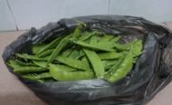 腊肠炒荷兰豆