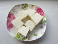 鲶鱼焖豆腐