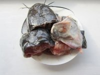 鲶鱼焖豆腐