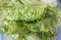 生菜鸡蛋煎饼