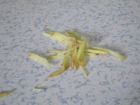 猪肉冬菇汤
