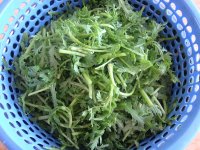 凉拌茼蒿