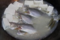 浓汤豆腐鱼
