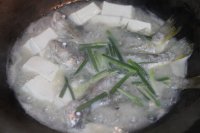 浓汤豆腐鱼