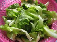 蚝油生菜