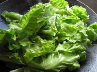 蚝油生菜