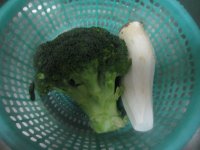 鲍汁杏鲍菇