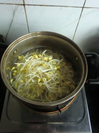 黄豆芽蒸饺