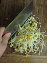 黄豆芽蒸饺