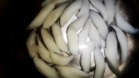 泡菜炒年糕