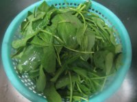 虾油菠菜