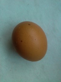 蒸鸡蛋羹