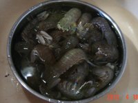清蒸皮皮虾