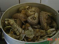 清蒸皮皮虾