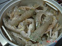 清蒸皮皮虾