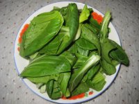 蒜蓉炒油菜