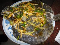 清蒸多宝鱼
