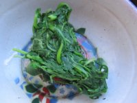 红油荠菜肉沫馄饨