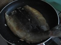 香煎朝鲜松鱼