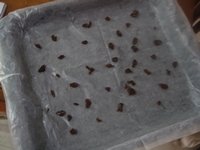 蜜枣蛋糕卷