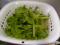 芹菜焖鸭