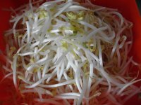 胡萝卜豆芽炒饼