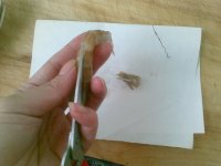 香锅土豆鸡球虾
