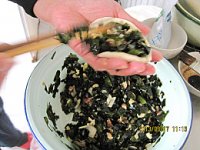 海菜包子