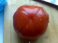 番茄生菜