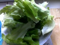 番茄生菜