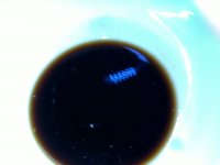 香辣土豆丝