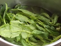 鸡翅金针菠菜汤