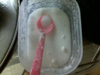 炖鸭子