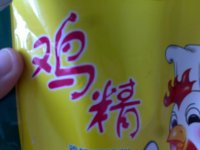 炖鸭子