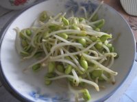 黄豆芽拌饭