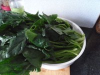 芝麻菠菜墩