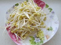 蚝油韭菜炒黄豆芽