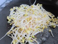 蚝油韭菜炒黄豆芽