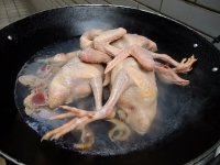 滑嫩乳鸽