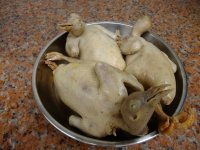 滑嫩乳鸽
