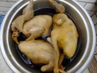 滑嫩乳鸽
