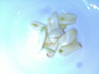 五香蚕豆