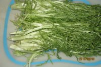 苦菊炒鸡蛋