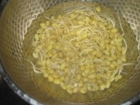 豆芽炒龙口粉