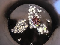 辣炖豆腐