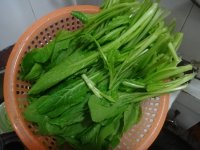 姜丝炒小麦菜