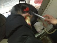 糖醋鱼块