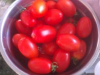 番茄炒四季豆
