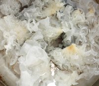 紫薯金桂银耳雪梨羹