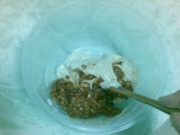小芝麻肉糜饼
